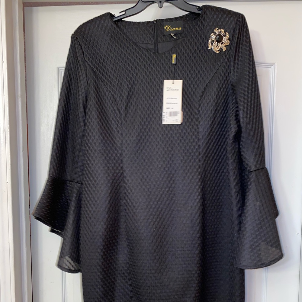 Diana, Beautiful Black Belle Sleeves knee length dress.